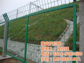 隆安護(hù)欄網(wǎng) 專(zhuān)業(yè)框架護(hù)欄網(wǎng)廠打造安全防盜網(wǎng)